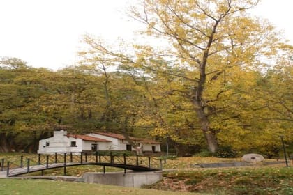 Villavicencio Natural Reserve Half-Day Tour from Mendoza