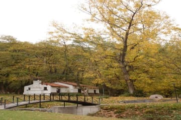 Half-Day Villavicencio Natural Reserve Tour from Mendoza