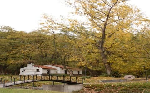 Half-Day Villavicencio Natural Reserve Tour from Mendoza