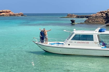 Snorkeling trips to Daymaniat Island