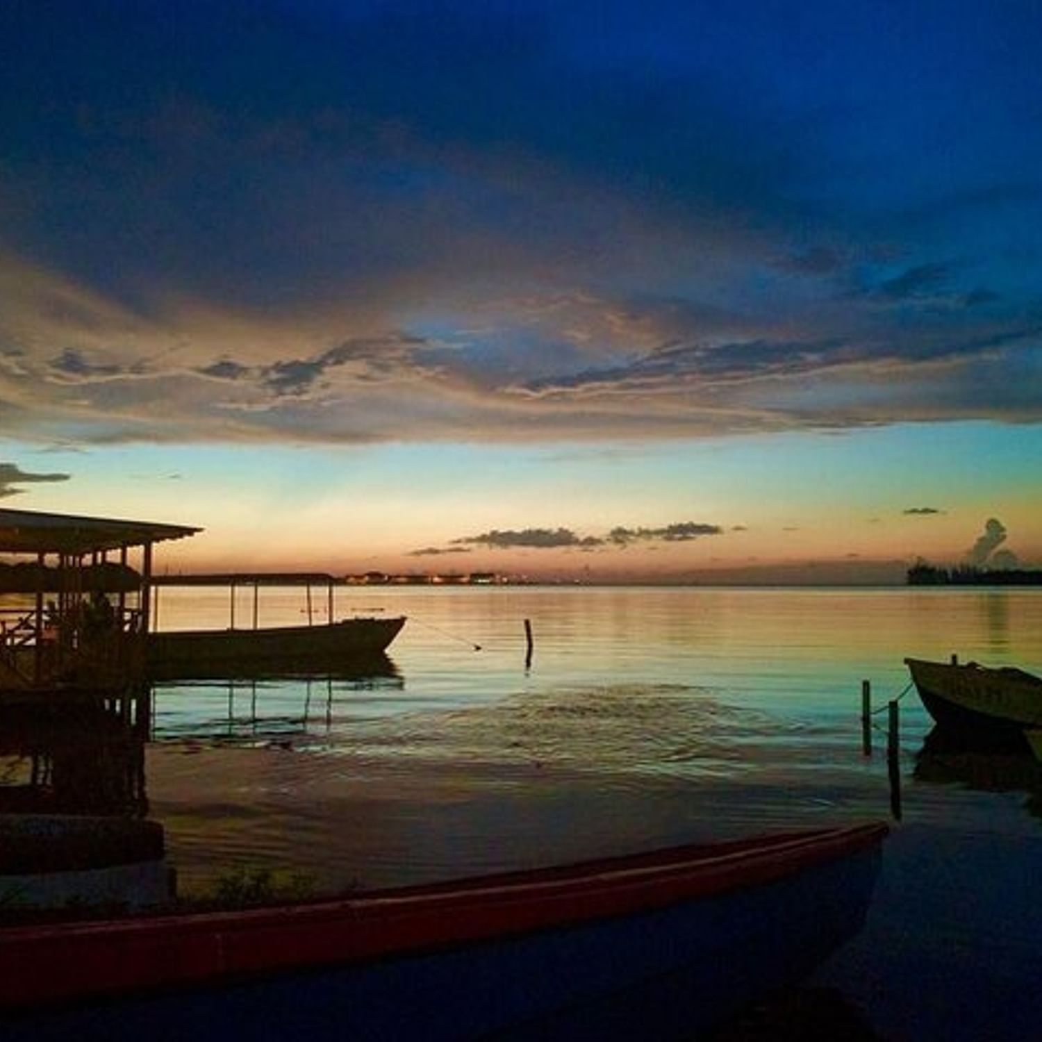 Luminous Lagoon Night Experience From Montego Bay