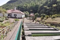 Ribeiro Frio
