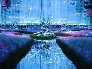 Dubai Dazzle Package: Sky Views, AYA Universe & Dinner Cruise