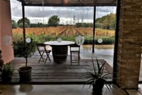 Exclusive Private Bolgheri Experience from Florence: The Land of the Super Tuscan 6