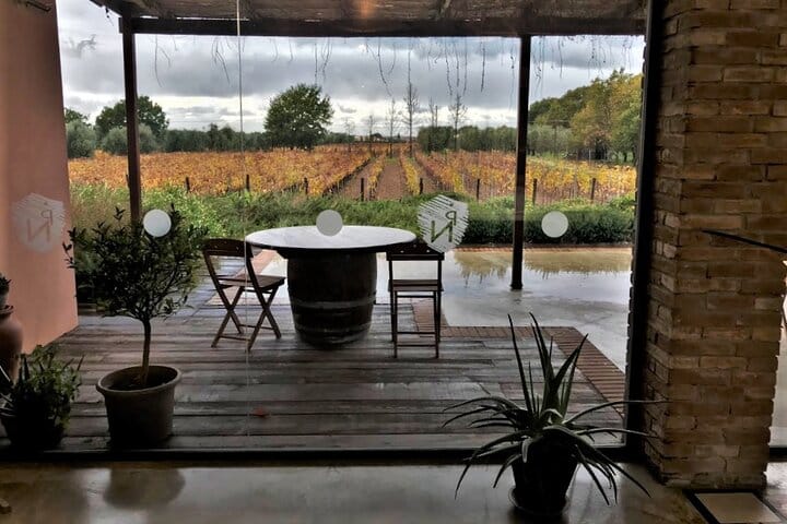 Exclusive Private Bolgheri Experience from Florence: The Land of the Super Tuscan 6