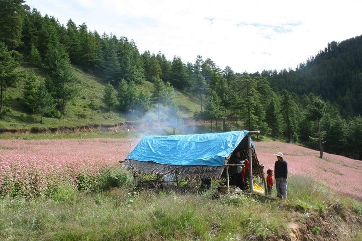 19 Days Mera Peak Climbing & Expedition – One Life-Changing Himalayan Adventure