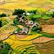 Authentic Sapa Trekking With Local Family Homestay (2d1n by bus)
