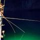 Stunning Bai Tu Long Bay 2 Days Tour on Renea Boutique Cruise