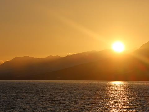 Akureyri Express Whales in the Midnight Sun, photo 11