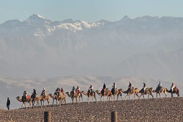 Desert agafay camel ride and Moroccan dinner show, from marrakech