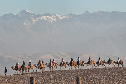 Desert agafay camel ride and Moroccan dinner show, from marrakech