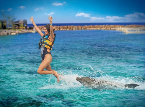 Dolphin Royal Swim at Montego Bay