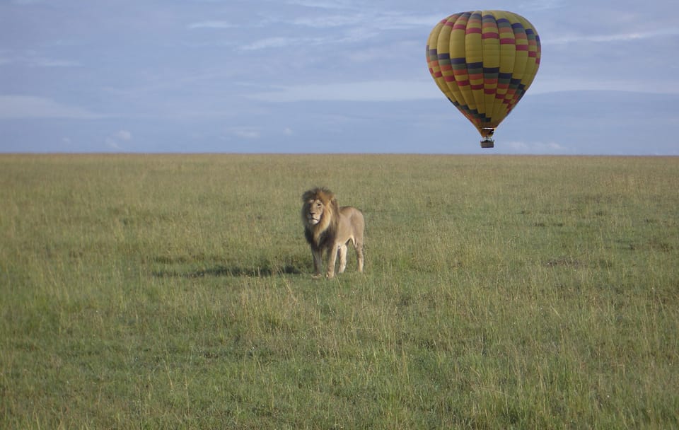 7-Day Luxury Safari and Beach Experience in Kenya