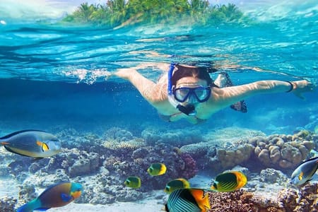 snorkeling trip at satayh dolphin reef from marsa alam