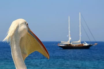 2-Day Tour from Athens to Santorini and Mykonos Islands
