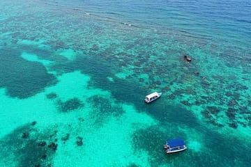 North Side Snorkel Adventure in the Caribbean Sea