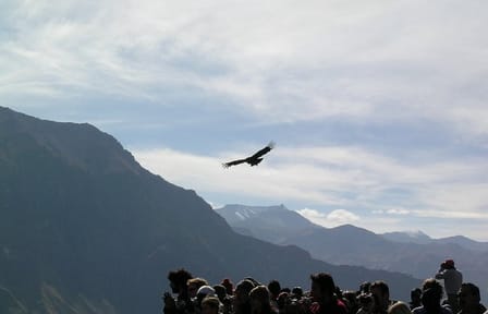 2-Day Trekking Adventure in Colca Canyon from Arequipa
