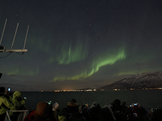 Soft green Aurora Borealis glowing above the ocean with Reykjavík city lights in the distance.