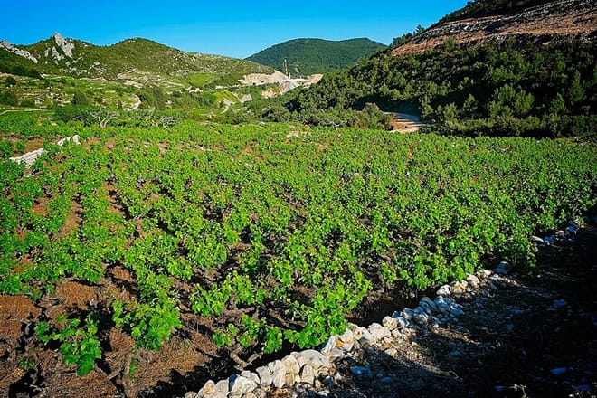 Dubrovnik Hinterland Private Tour with Culinary Experience 7