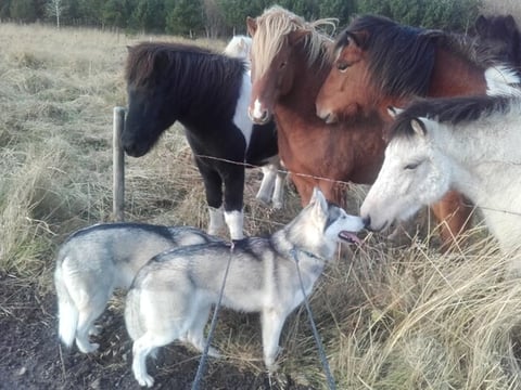 unexpected encounter