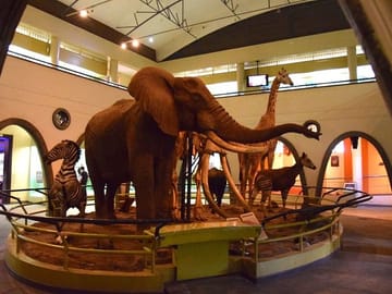 Private Guided Tour of Nairobi National Museum and Snake Park