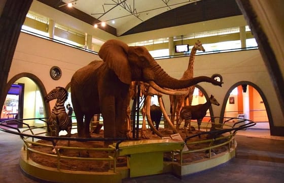Private Tour: Nairobi National Museum and Snake Park Guided Tour
