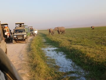 Amboseli day trip tour