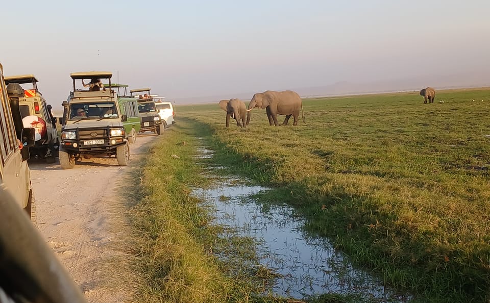 Amboseli day trip tour