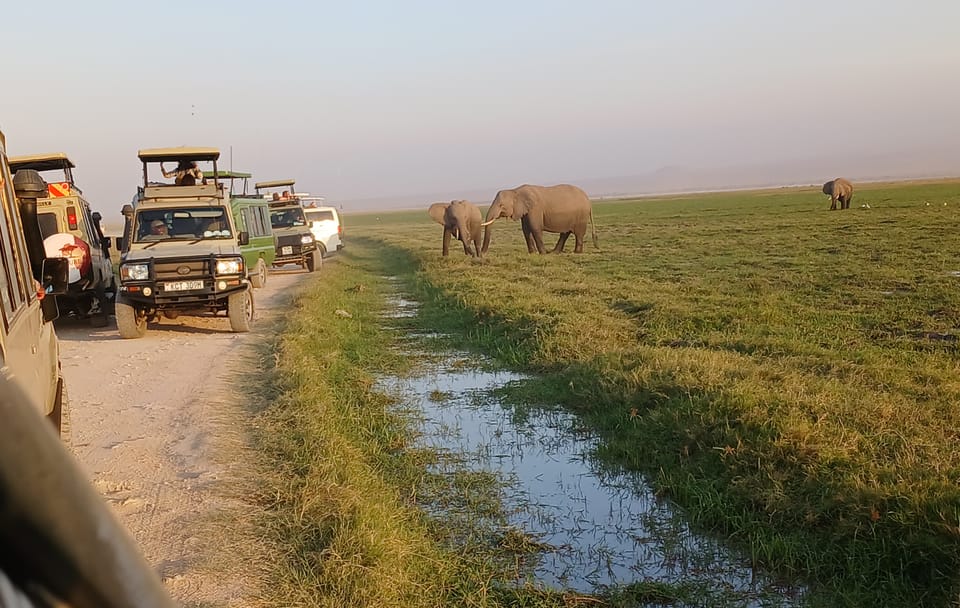 Amboseli day trip tour