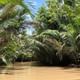 Mekong Delta Full-Day Tour with Sampan Boat Ride and Lunch