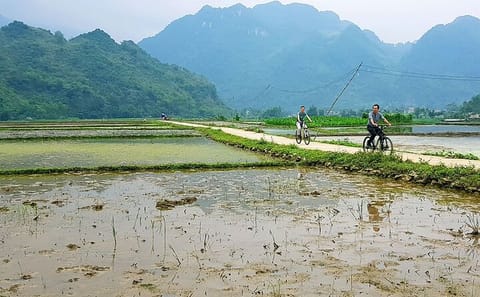 Off Road Trekking Pu Luong Nature Reserve 3 Day Tour From Hanoi