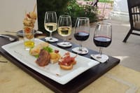 Private Full-Day Surf & Wine Tour at Casa del Bosque 2