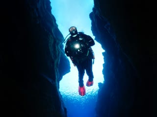 Reykjavík Whales & Diving, photo 7