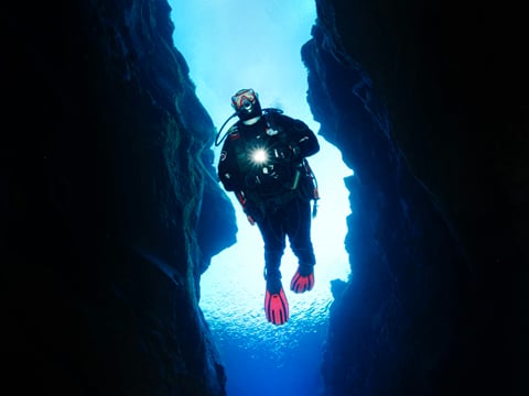 Reykjavík Whales & Diving, photo 7