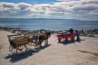 Aran islands of Inisheer/Inishmore pub tour from Galway City. Private guided.  8