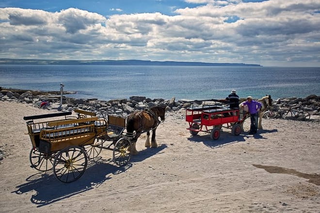 Aran islands of Inisheer/Inishmore pub tour from Galway City. Private guided.  8