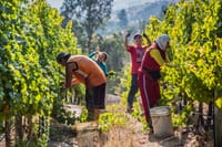 Private Full Day  Scuba Diving and Wine Tour From Santiago 8