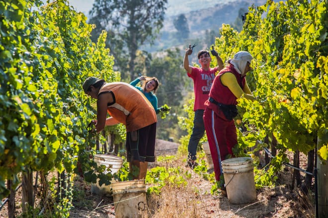 Private Full Day  Scuba Diving and Wine Tour From Santiago 8
