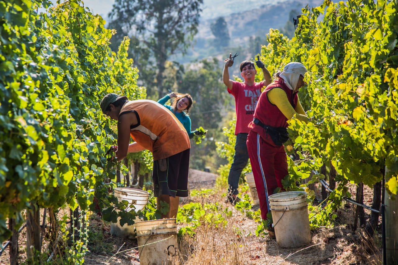 Private Full Day Scuba Diving and Wine Tour From Santiago 8