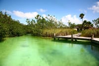 Muyil Archaeological Site & Sian Ka'an Guided Tour from Tulum 3