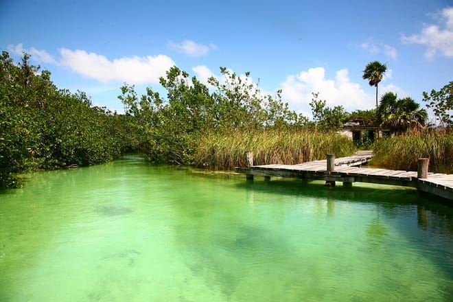 Muyil Archaeological Site & Sian Ka'an Guided Tour from Tulum 3