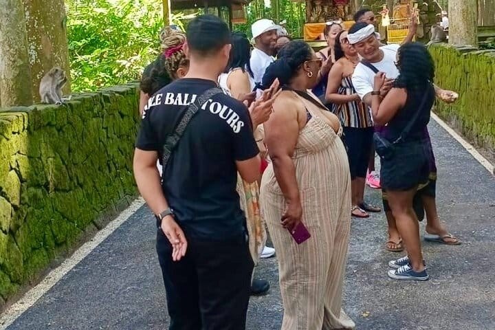 Ubud: Monkey Forest, Jungle Swing, Rice Terrace and Water Temple 7