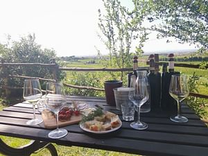 Frascati: 2-Hours Wine Tasting Experience with Winery Guided Tour