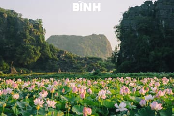 Cultural and Scenic Tour of Vietnam in 6 Days