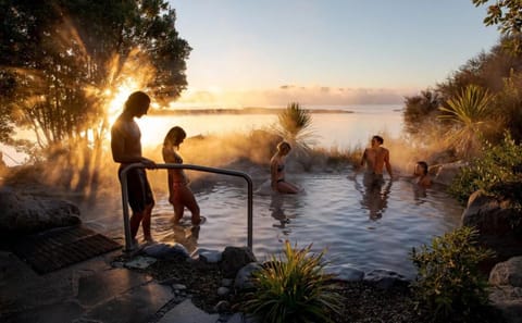 Auckland to Rotorua Geothermal Landscapes Tour