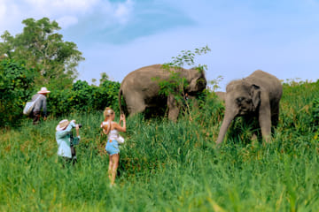 Phuket: Ethical Elephant Sanctuary Experience