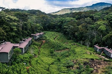 Bird Watching Sri Lanka