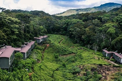 Bird Watching Sri Lanka