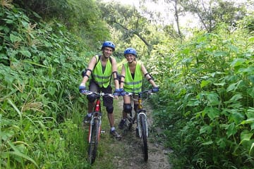 Jungle Wildlife Bike Tour to Iguazu National Park & Jaguar Road