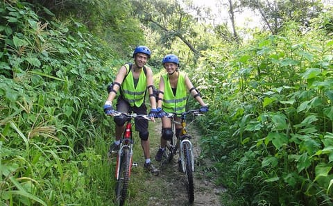 Jungle Wildlife Bike Tour in Iguazu National Park, Argentina